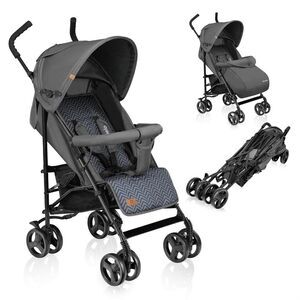 Lionelo Elia Buggy