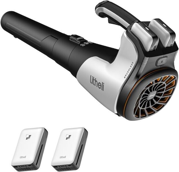 Litheli U20 EGT060061 20 V Battery leaf blower 2 x 4.0 Ah Akkus | black/white, image 1 of 1