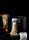 MasterPRO BGMP-9139 Electric pasta machine by Carlo Cracco | black/silver thumbnail 5/5