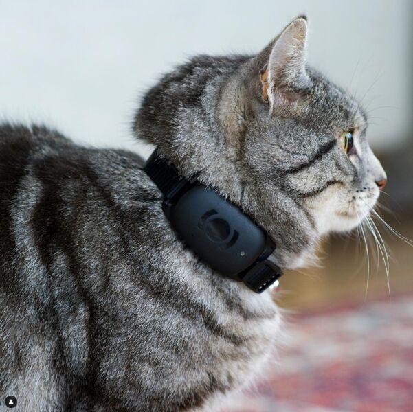 MiniFinder Atto Pro Haustier-GPS-Tracker | schwarz 4