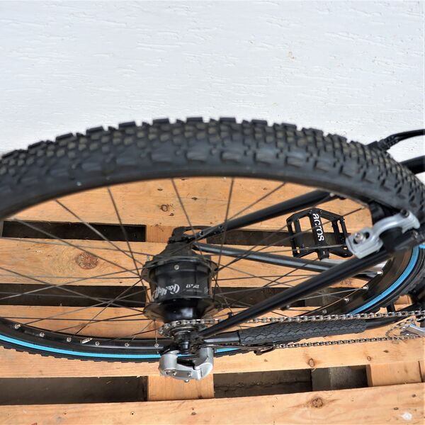 Mosch Bikes E-Bike 29er SAYA light Rohloff (UPCYCLED) | Diamant | Leinölfarbe schwarz | 29" | L 3