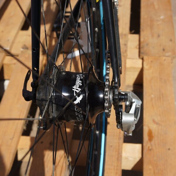 Mosch Bikes E-Bike 29er SAYA light Rohloff (UPCYCLED) | Diamant | Leinölfarbe schwarz | 29" | L 4