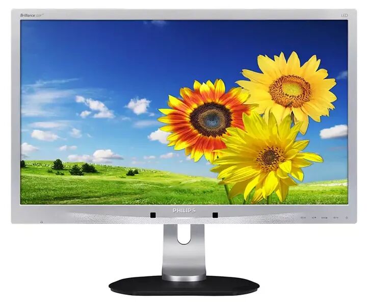 Philips Brilliance 220P4L | 22" | silber 2