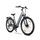 Rover Trekking E-Bike TLM 709 (2023) | Lage instap | grijs | 29" | 46 cm | 100 - 500 km thumbnail 2/5