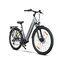 Rover Trekking E-Bike TLM 709 (2023) | Lage instap | grijs | 29" | 46 cm | 100 - 500 km thumbnail 2/5