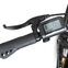 Rover Trekking E-Bike TLM 709 (2023) | Lage instap | grijs | 29" | 46 cm | 100 - 500 km thumbnail 3/5