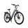 Rover Trekking E-Bike TLR 709 (2023) | Tiefeinsteiger | grau | 28" | 46 cm | 100 - 500 km thumbnail 2/5