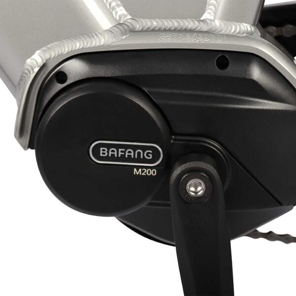 Rover Trekking E-Bike TMM 709 (2023) | Diamant | grau | 29" | 48 cm | 100 - 500 km 4