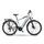 Rover Trekking E-Bike TMM 709 (2023) | Diamant | grijs | 29" | 48 cm | 100 - 500 km thumbnail 1/5