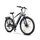 Rover Trekking E-Bike TMR 709 (2023) | Diamant | grau | 28" | 48 cm | < 100 km thumbnail 2/5
