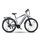 Rover Trekking E-Bike TMR 709 (2023) | Diamant | grau | 28" | 48 cm | < 100 km thumbnail 1/5