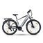 Rover Trekking E-Bike TMR 709 (2023) | Diamond | gray | 28" | 48 cm | 100 - 500 km thumbnail 1/5