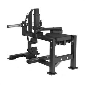Toorx FWX-7800 Seated Calf