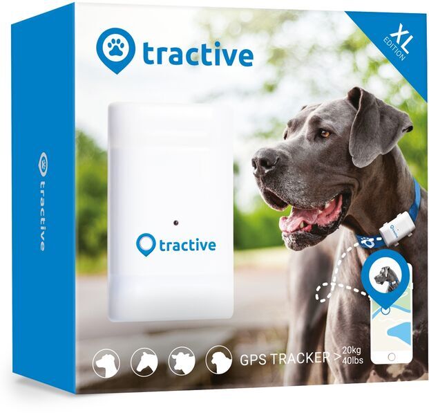 I særdeleshed picnic Forældet Tractive GPS Tracker XL for dogs with 6 weeks battery life | EXKL. ABO |  Now with a 30 Day Trial Period