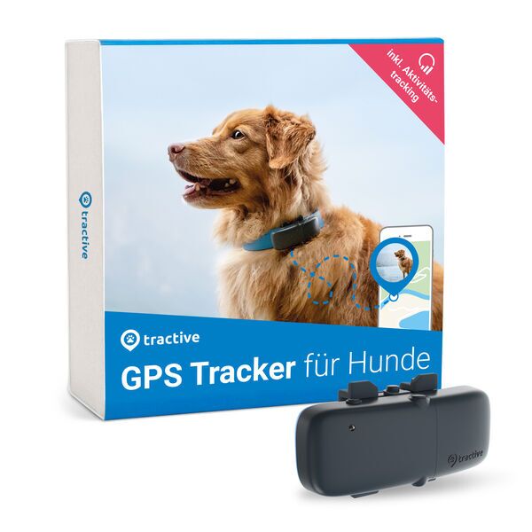 Tractive GPS Tracker para cães com monitorização de atividade (modelo 2020) | EXCL. ABO | TRDOG1 | cinzento