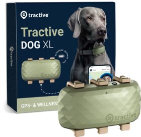Tractive DOG XL - GPS Tracker Hund mit längerer Akkulaufzeit | EXKL. ABO