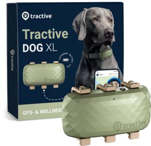 Tractive DOG XL - Dog Tracker With Bigger Battery | EXCL. ABO