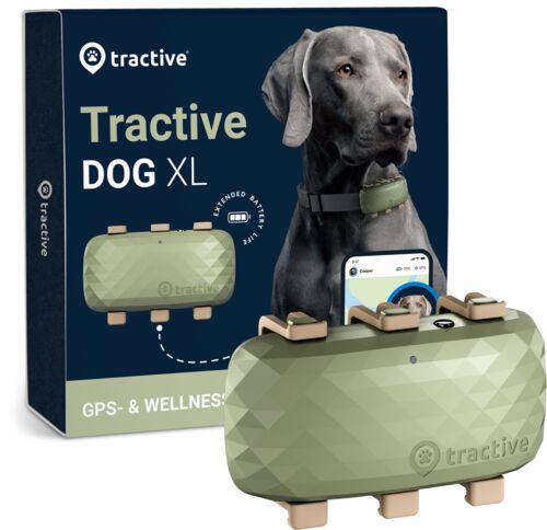 Väldigt bra: Tractive DOG XL – GPS till hund, med större batteri | EXCL. ABO | TRDOG4XLGR | grön