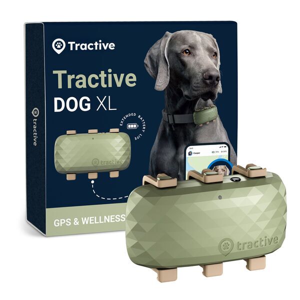 Tractive DOG XL - GPS per cani con maggiore autonomia della batteria | ABBONAMENTO ESCLUSO | TRDOG4XLGR | verde 1