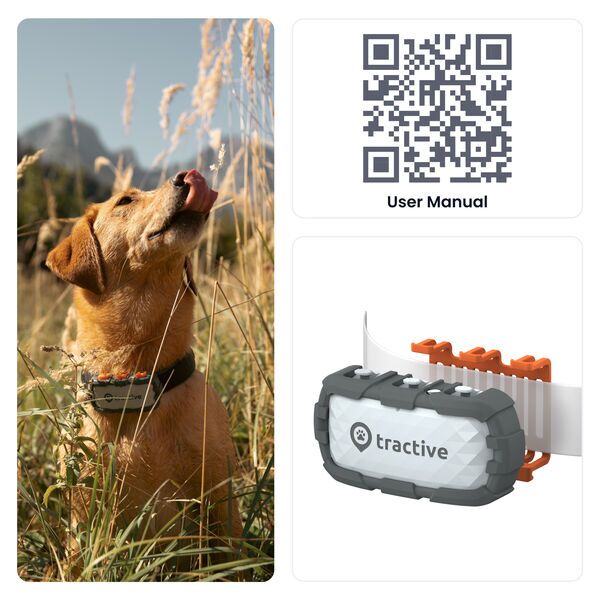Tractive DOG XL Adventure Edition - Fiberglass-Reinforced GPS & Health Dog Tracker | EXCL. ABO | TRDOG4XLRUG | grey 3