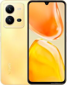 Vivo X80 Lite