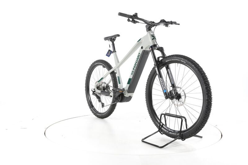 X-Fact E Race 29 2024 | Weiß | 29" | L | 500 - 3000 km, image 3 of 5