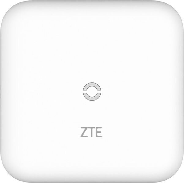 ZTE MF17T | white